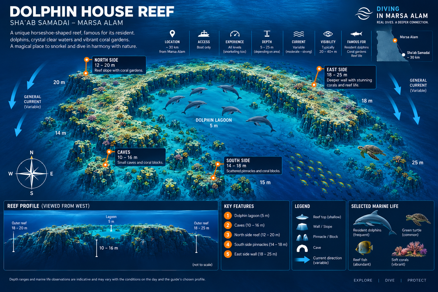 Dolphin House — Sha’ab Samadai dive map